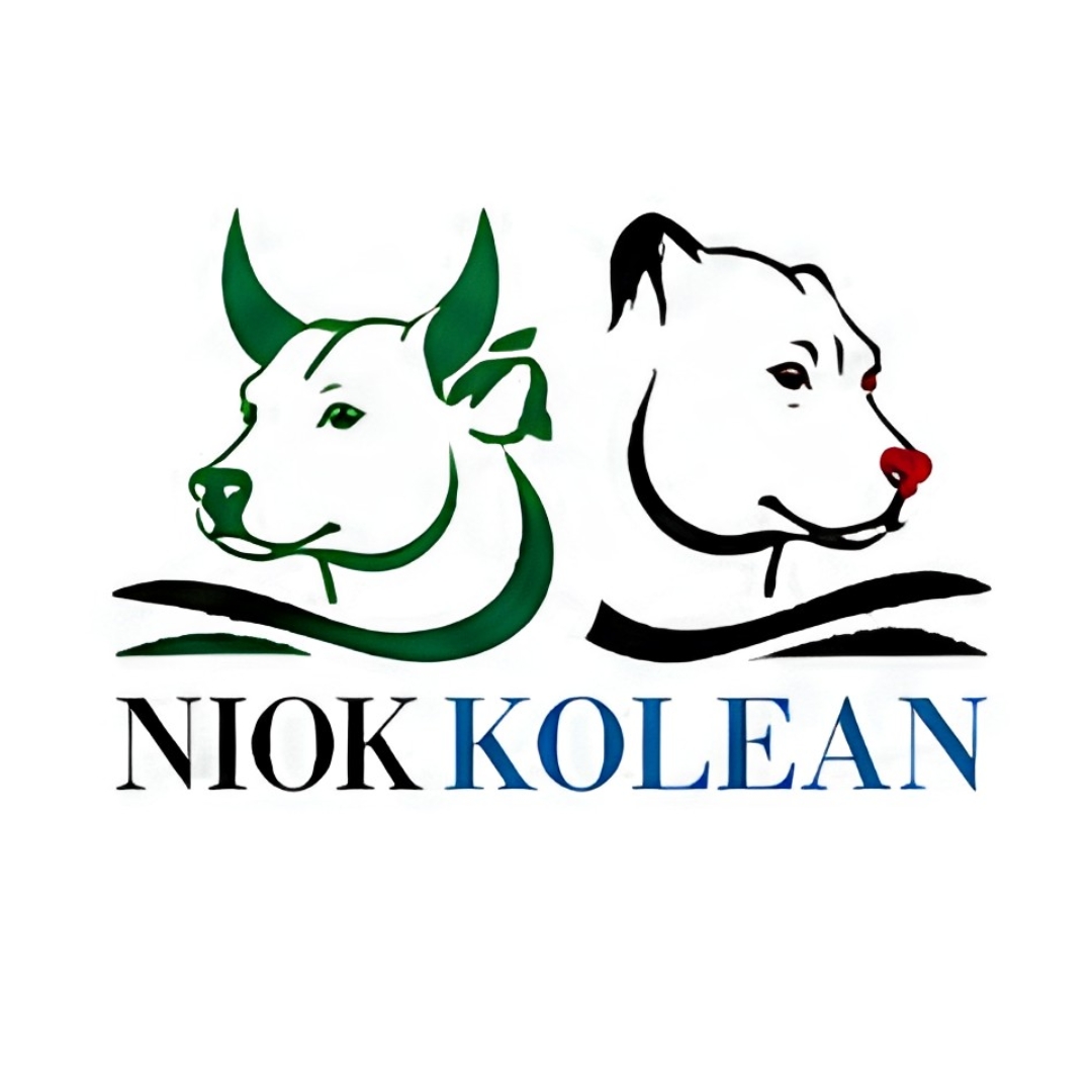 Client logo 9